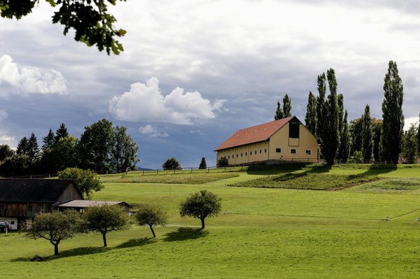 Quali tecniche di intelligenza artificiale possono migliorare la precisione delle previsioni meteorologiche?